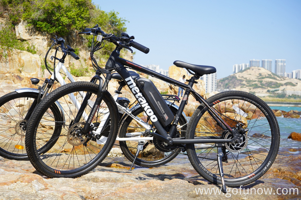 2022 Long range central motor 36V 350W electric mountain bike trek wholesale full suspension Electric Bike